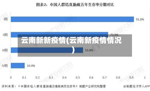云南新新疫情(云南新疫情情况)-第2张图片