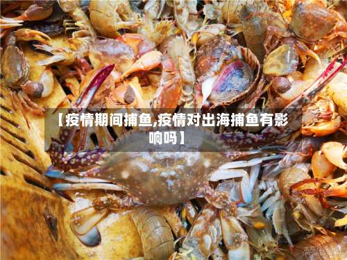 【疫情期间捕鱼,疫情对出海捕鱼有影响吗】-第2张图片
