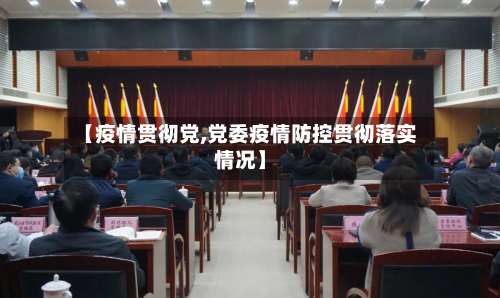 【疫情贯彻党,党委疫情防控贯彻落实情况】-第2张图片