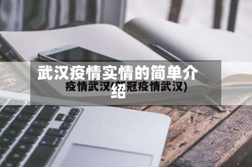 武汉疫情实情的简单介绍