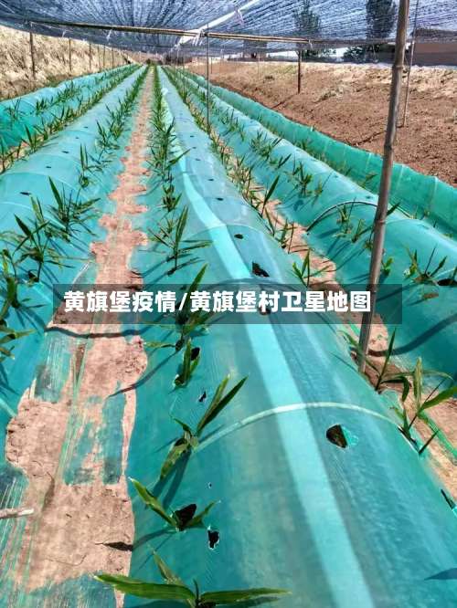 黄旗堡疫情/黄旗堡村卫星地图