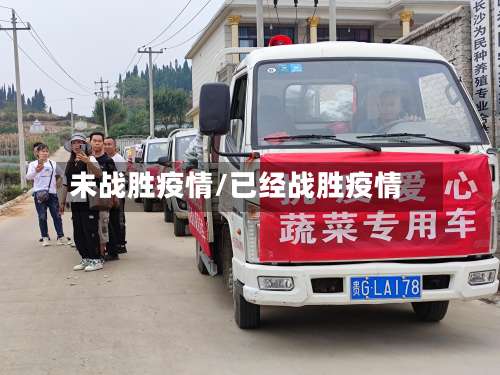 未战胜疫情/已经战胜疫情