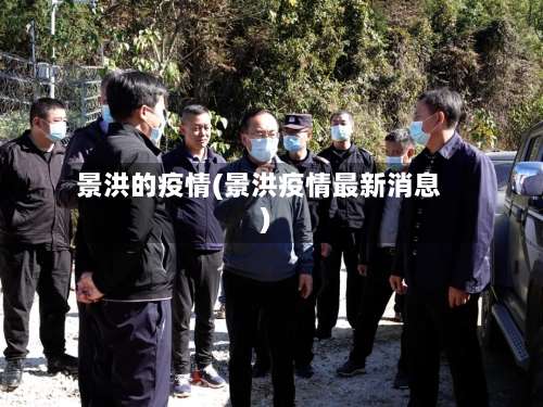 景洪的疫情(景洪疫情最新消息)