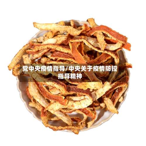 党中央疫情指导/中央关于疫情防控指导精神