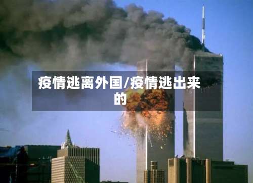疫情逃离外国/疫情逃出来的