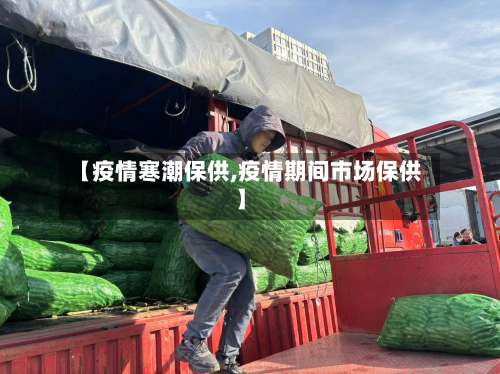 【疫情寒潮保供,疫情期间市场保供】-第3张图片