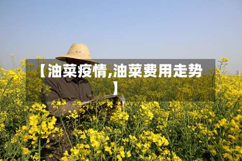 【油菜疫情,油菜费用走势】-第2张图片
