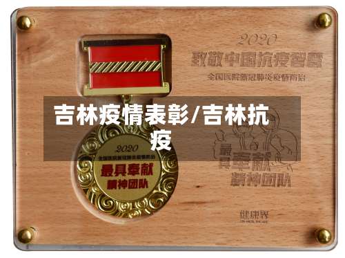 吉林疫情表彰/吉林抗疫-第2张图片