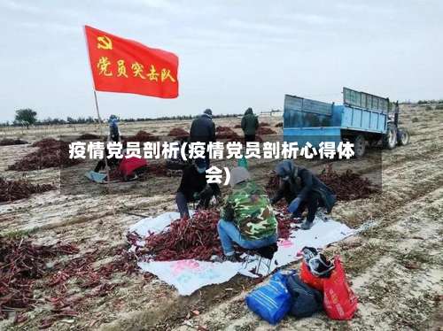 疫情党员剖析(疫情党员剖析心得体会)