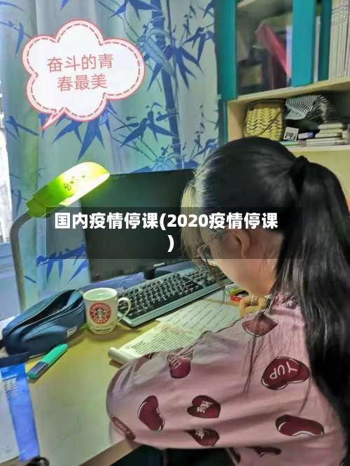 国内疫情停课(2020疫情停课)