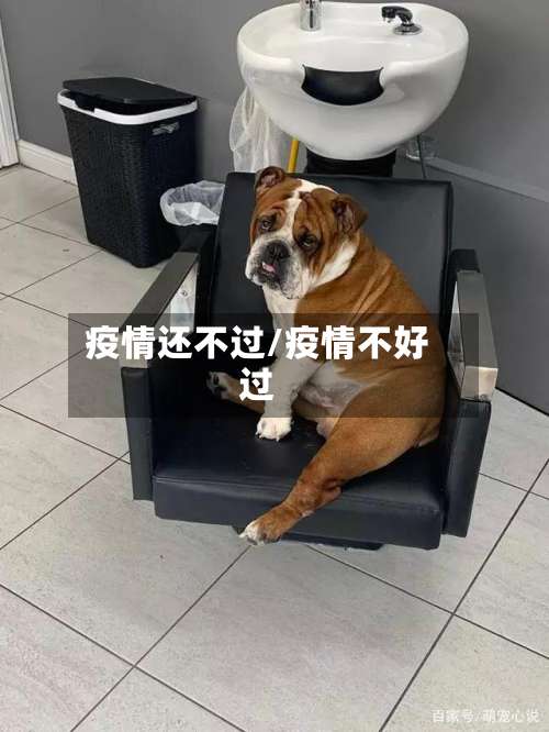 疫情还不过/疫情不好过-第2张图片