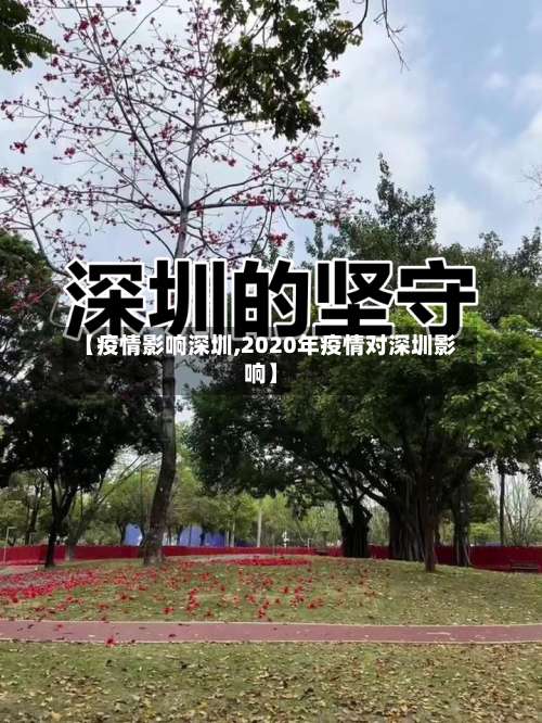 【疫情影响深圳,2020年疫情对深圳影响】
