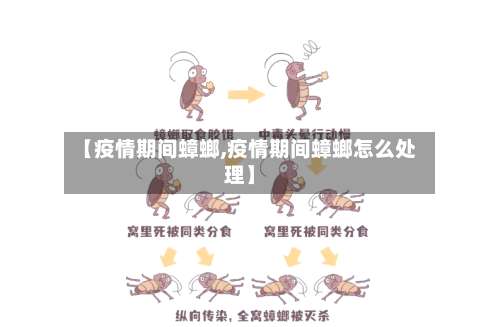 【疫情期间蟑螂,疫情期间蟑螂怎么处理】-第2张图片