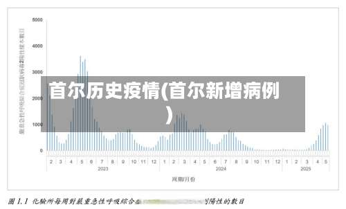 首尔历史疫情(首尔新增病例)-第3张图片