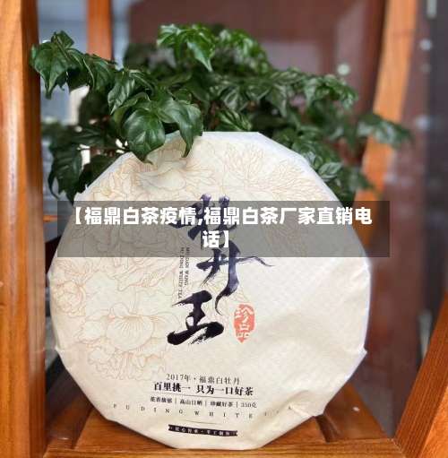 【福鼎白茶疫情,福鼎白茶厂家直销电话】-第2张图片