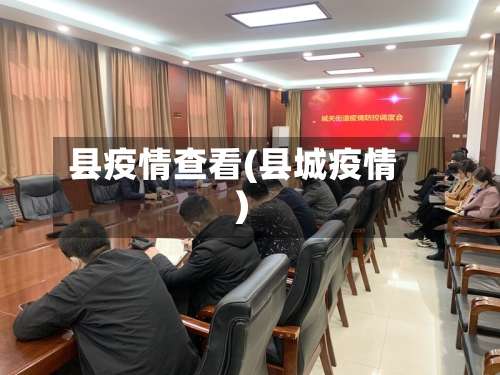 县疫情查看(县城疫情)