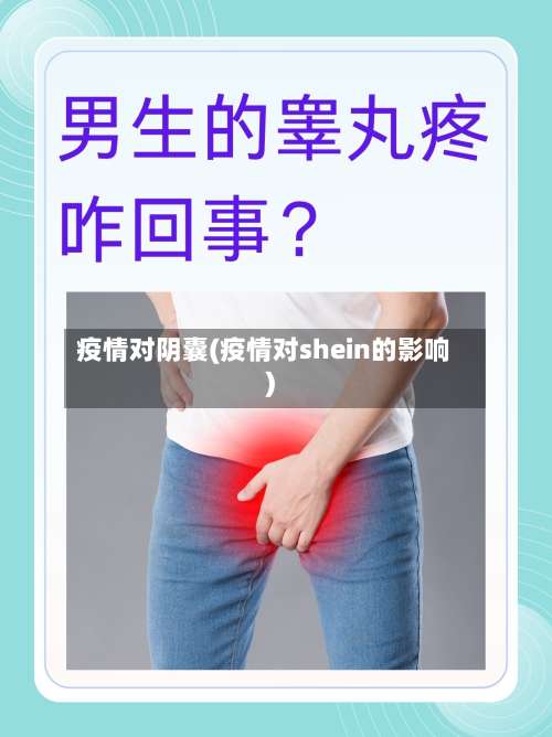 疫情对阴囊(疫情对shein的影响)