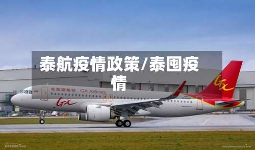 泰航疫情政策/泰囤疫情