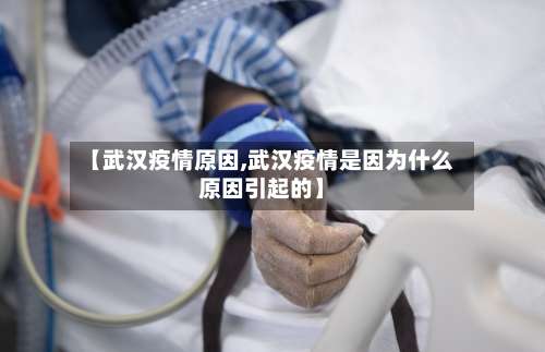 【武汉疫情原因,武汉疫情是因为什么原因引起的】-第2张图片