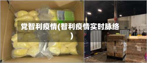 党智利疫情(智利疫情实时脉络)-第3张图片