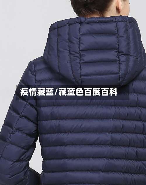 疫情藏蓝/藏蓝色百度百科-第2张图片