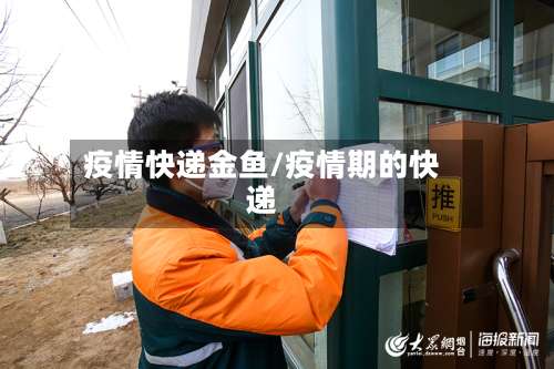 疫情快递金鱼/疫情期的快递
