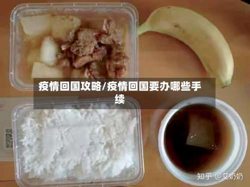 疫情回国攻略/疫情回国要办哪些手续