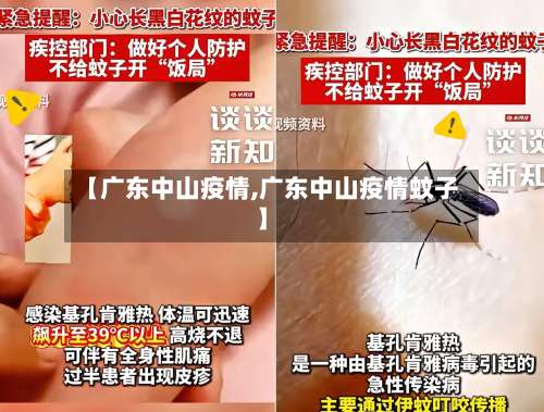 【广东中山疫情,广东中山疫情蚊子】
