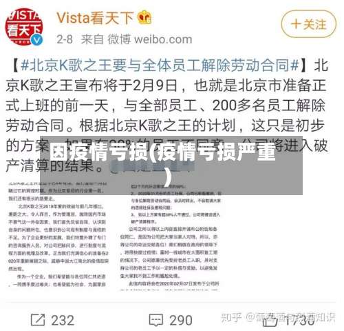 因疫情亏损(疫情亏损严重)