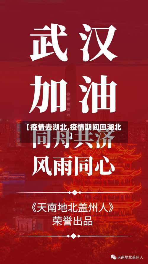 【疫情去湖北,疫情期间回湖北】