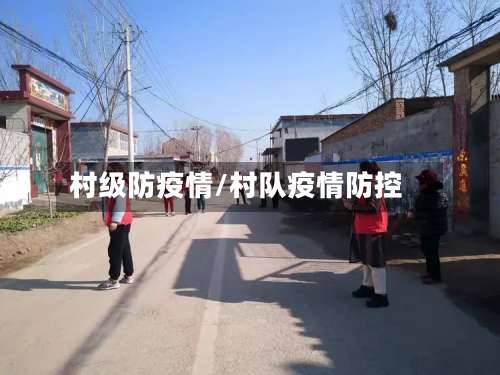 村级防疫情/村队疫情防控