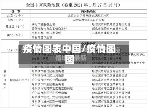 疫情图表中国/疫情图图-第2张图片