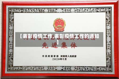 【表彰疫情工作,表彰疫情工作的通知】-第2张图片