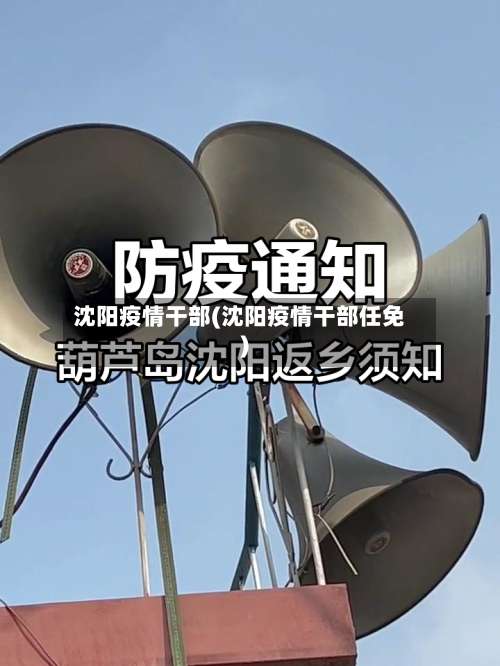 沈阳疫情干部(沈阳疫情干部任免)