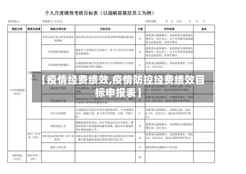 【疫情经费绩效,疫情防控经费绩效目标申报表】-第2张图片