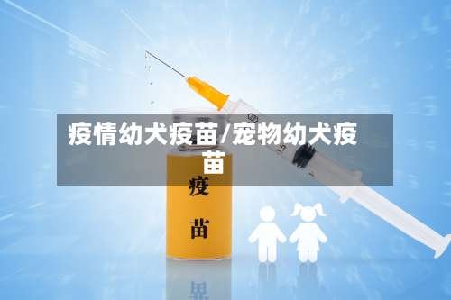 疫情幼犬疫苗/宠物幼犬疫苗