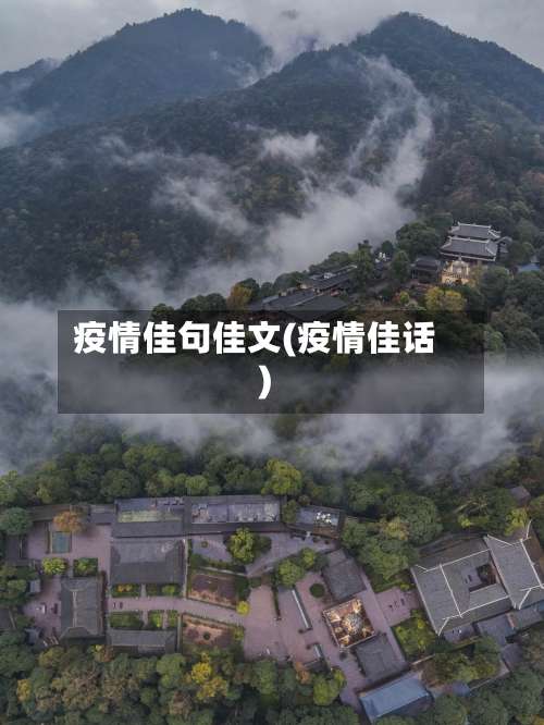 疫情佳句佳文(疫情佳话)