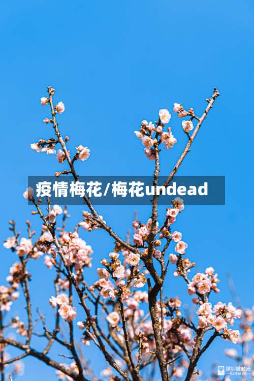 疫情梅花/梅花undead-第2张图片