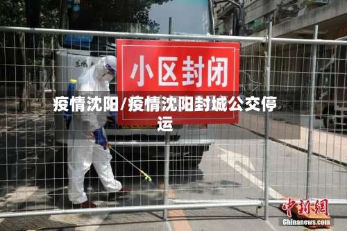 疫情沈阳/疫情沈阳封城公交停运