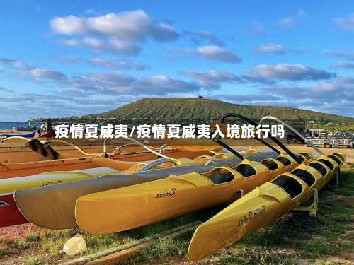 疫情夏威夷/疫情夏威夷入境旅行吗