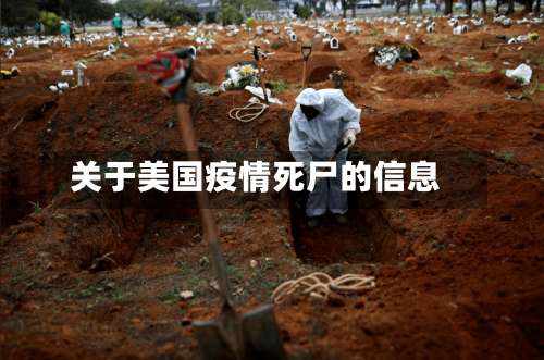 关于美国疫情死尸的信息