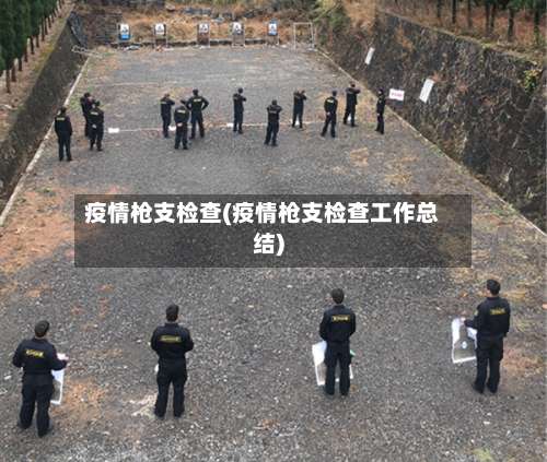 疫情枪支检查(疫情枪支检查工作总结)-第2张图片