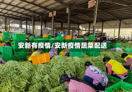 安新有疫情/安新疫情蔬菜配送