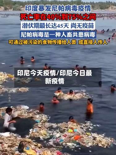 印尼今天疫情/印尼今日最新疫情-第2张图片