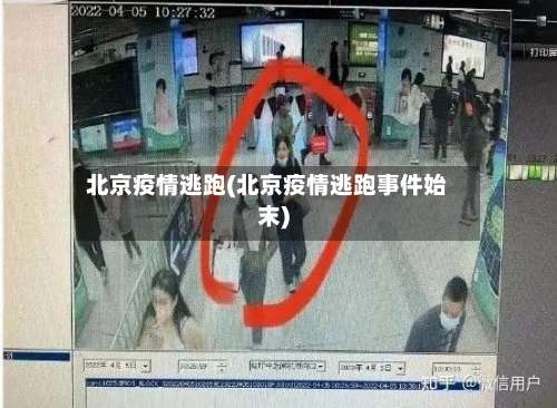 北京疫情逃跑(北京疫情逃跑事件始末)-第3张图片