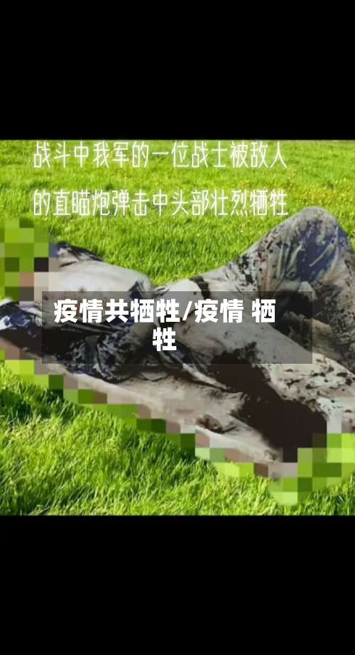 疫情共牺牲/疫情 牺牲