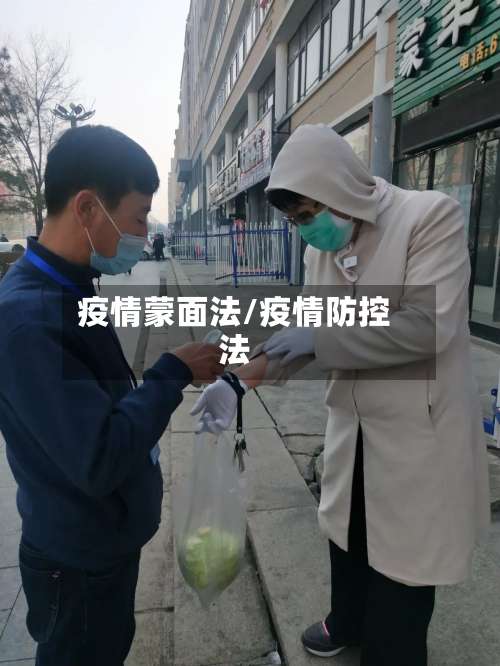 疫情蒙面法/疫情防控法-第2张图片