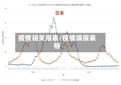 疫情相关报表/疫情填报表格