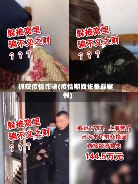 抓获疫情诈骗(疫情期间诈骗罪案例)-第3张图片