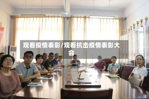 观看疫情表彰/观看抗击疫情表彰大会